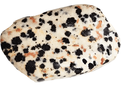 jaspe dalmatien